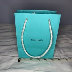 Tiffany & Co. STORE shopping bag